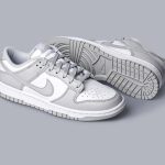 Nike Dunk Low Retro Grey Fog